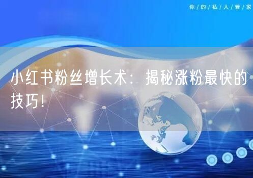 小红书粉丝增长术：揭秘涨粉最快的技巧！