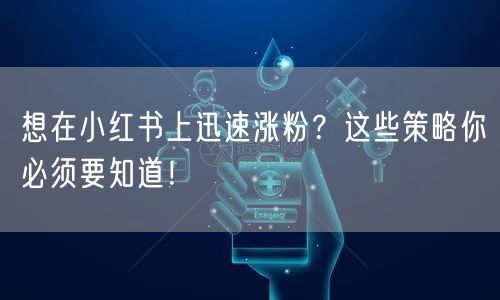 想在小红书上迅速涨粉？这些策略你必须要知道！