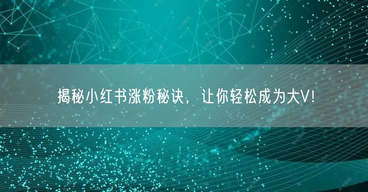 揭秘小红书涨粉秘诀，让你轻松成为大V！