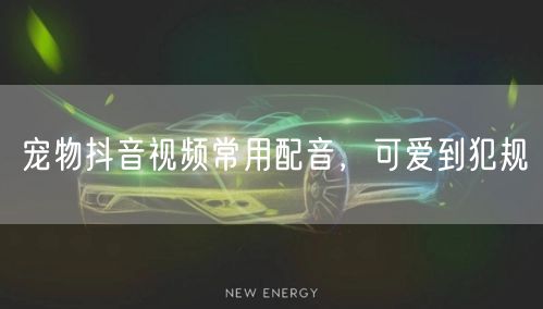 宠物抖音视频常用配音，可爱到犯规