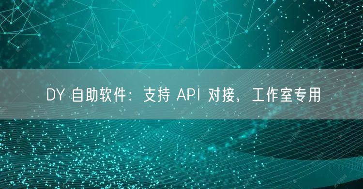 DY 自助软件：支持 API 对接，工作室专用