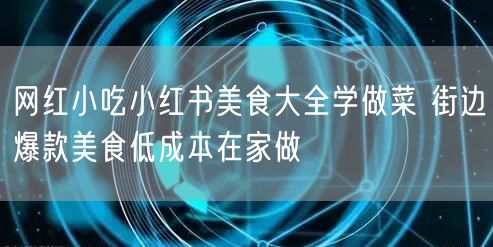 网红小吃小红书美食大全学做菜 街边爆款美食低成本在家做