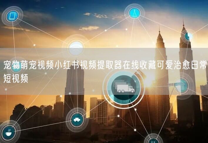 宠物萌宠视频小红书视频提取器在线收藏可爱治愈日常短视频