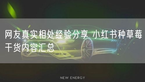 网友真实相处经验分享 小红书种草莓干货内容汇总