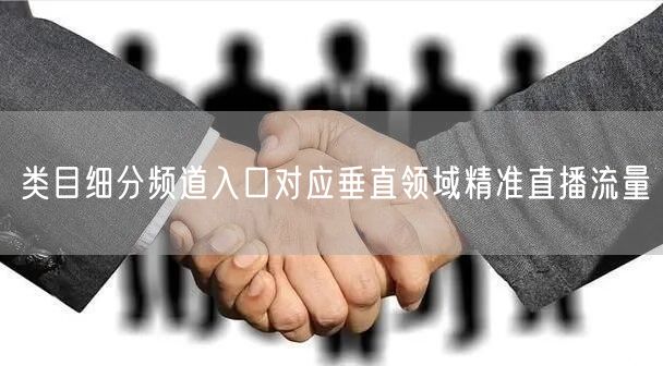 类目细分频道入口对应垂直领域精准直播流量