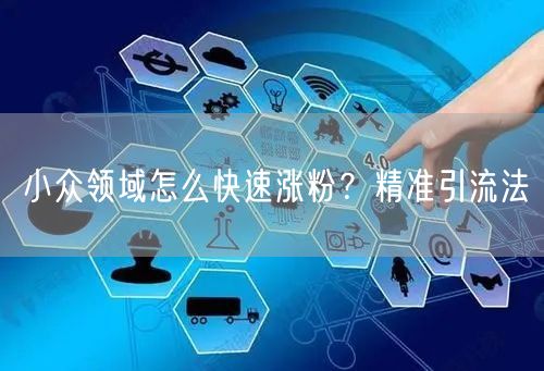 小众领域怎么快速涨粉？精准引流法