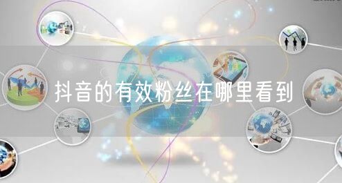 抖音的有效粉丝在哪里看到
