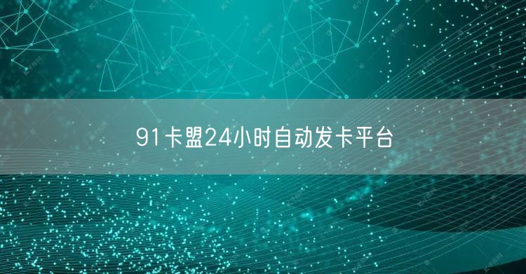 91卡盟24小时自动发卡平台