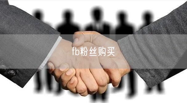 fb粉丝购买
