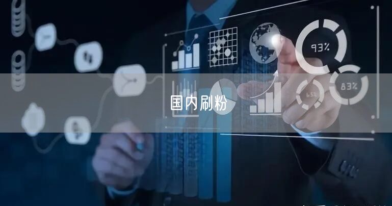 国内刷粉