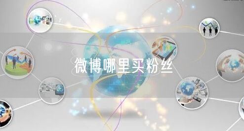 微博哪里买粉丝