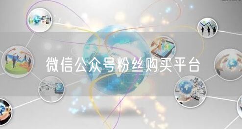 微信公众号粉丝购买平台