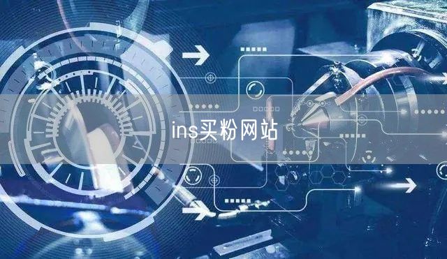 ins买粉网站
