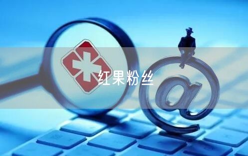 红果粉丝
