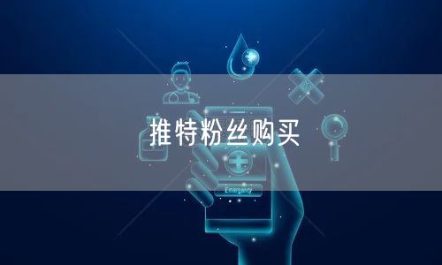 推特粉丝购买