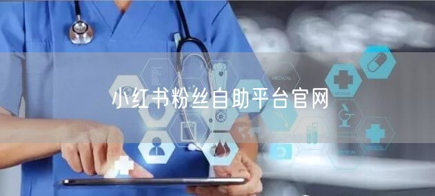 小红书粉丝自助平台官网