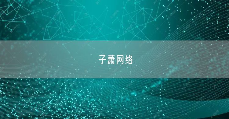 子萧网络