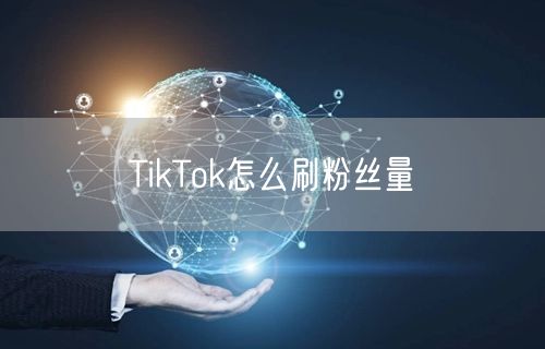 TikTok怎么刷粉丝量