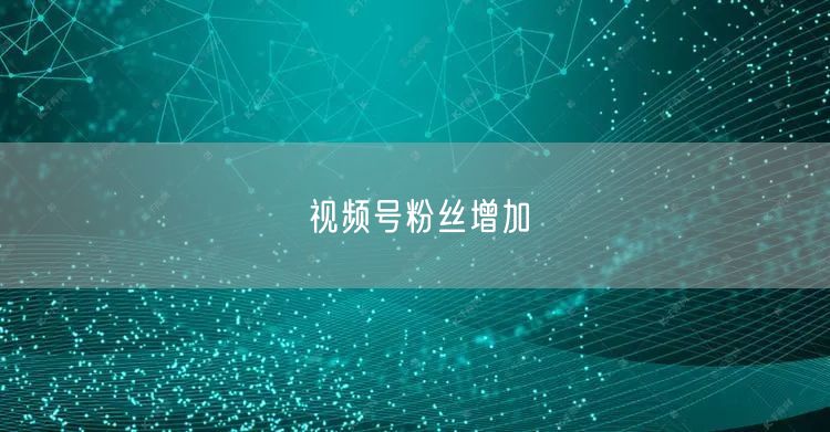 视频号粉丝增加