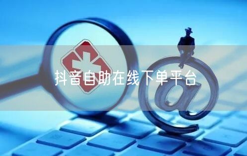 抖音自助在线下单平台