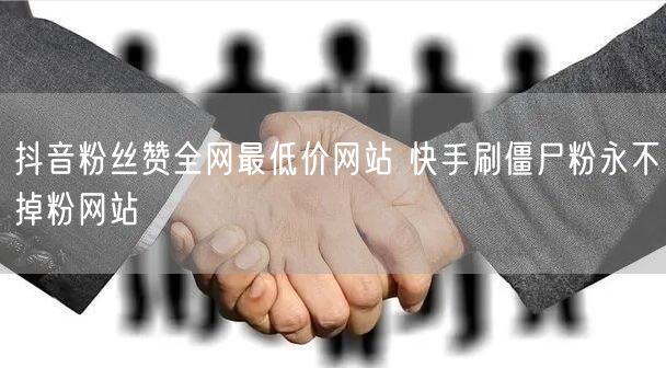抖音粉丝赞全网最低价网站 快手刷僵尸粉永不掉粉网站