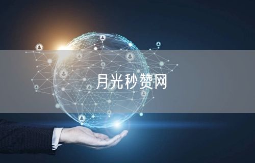 月光秒赞网