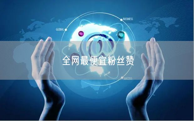 全网最便宜粉丝赞