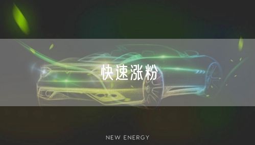 快速涨粉