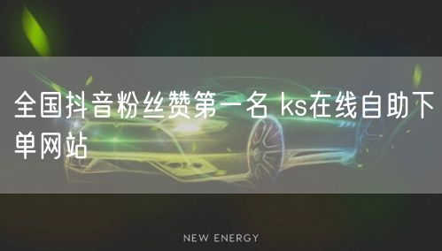 全国抖音粉丝赞第一名 ks在线自助下单网站