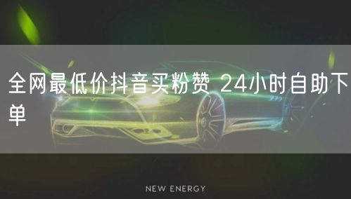 全网最低价抖音买粉赞 24小时自助下单