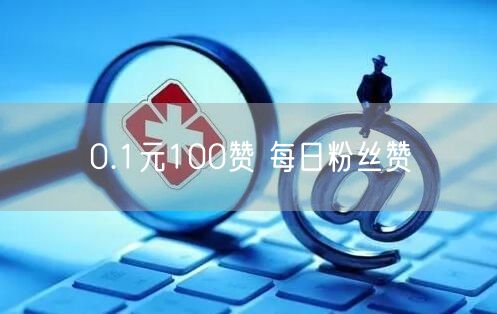 0.1元100赞 每日粉丝赞