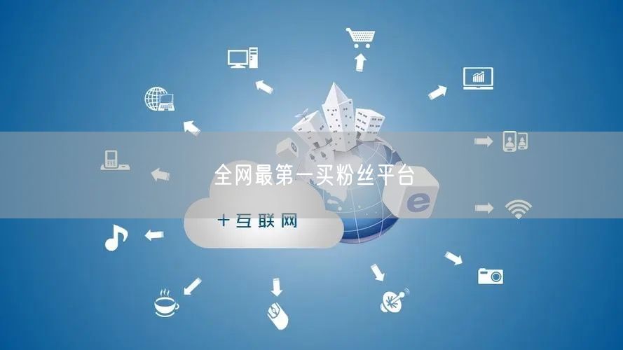 全网最第一买粉丝平台