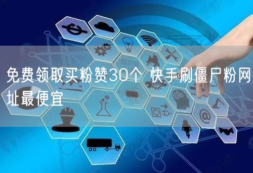免费领取买粉赞30个 快手刷僵尸粉网址最便宜
