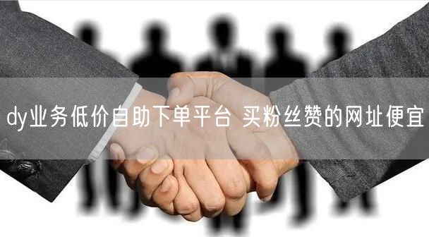 dy业务低价自助下单平台 买粉丝赞的网址便宜