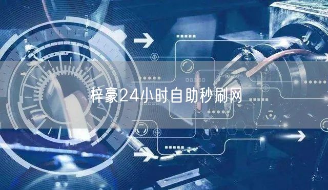梓豪24小时自助秒刷网