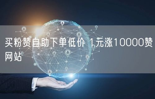 买粉赞自助下单低价 1元涨10000赞网站