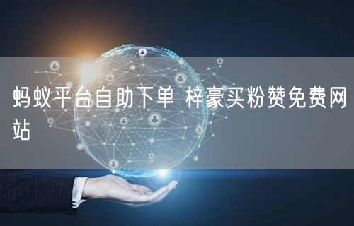 蚂蚁平台自助下单 梓豪买粉赞免费网站